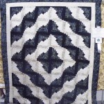 QS 00409